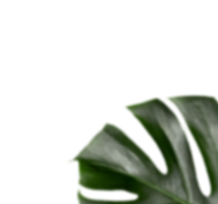 🌿
