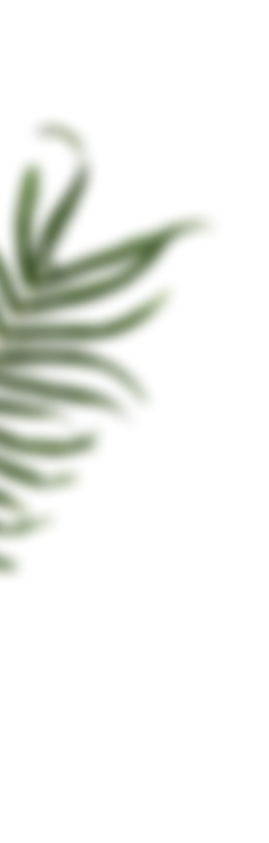 🌿